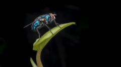 117-Tiny but MIGHTY-NiSi Close Up Lens