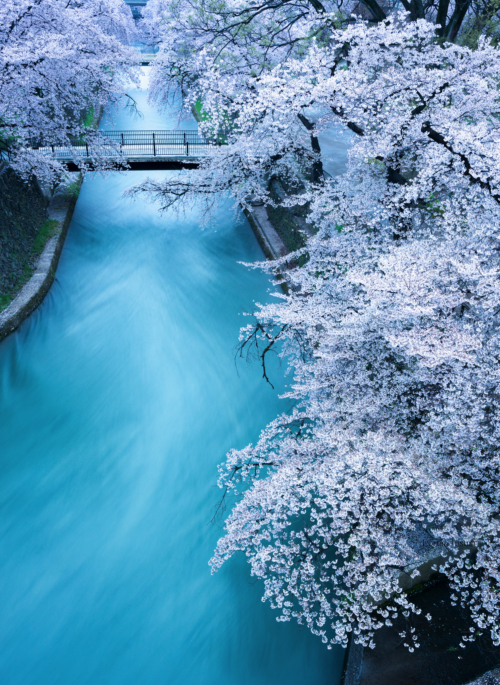 41-Sakura Nagashi-NiSi Enhance ND-VARIO 1.5-5 stops