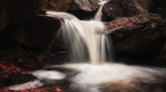 52-Autumn Cascade-NiSi V5 + NiSi Pro CPL