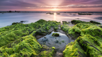 67-Secluded-NiSi-V5+IR-ND64+SOFT-GND8