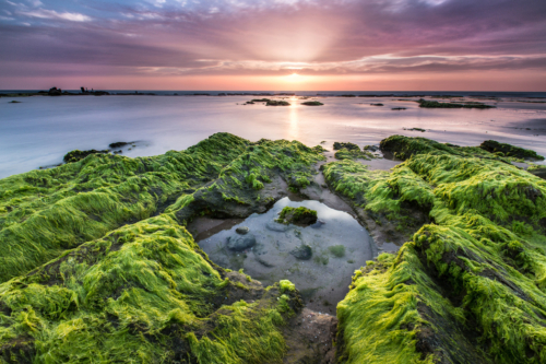 67-Secluded-NiSi-V5+IR-ND64+SOFT-GND8