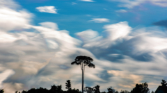 85-KHAO KHO-NiSi ND 1000K