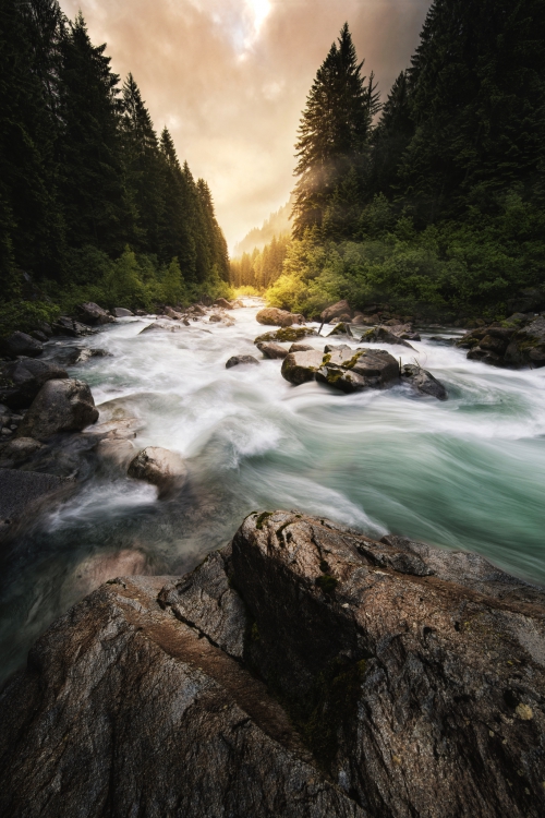 Forestfallswithca (1)