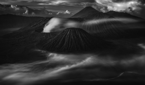 401c0bf967254a8fd6e43cf60614546